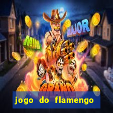 jogo do flamengo online multi